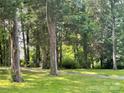 Lush trees envelop a property with a winding driveway and verdant greenery, offering a secluded and tranquil ambiance at 541 Greenway St, Davidson, NC 28036