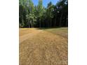 Spacious backyard featuring newly seeded lawn and surrounding trees at 8315 Adrian Ct, Charlotte, NC 28270