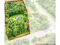 Aerial view showcasing property boundaries, highlighting a secluded home nestled among lush trees at 5369 Concord Rd, York, SC 29745