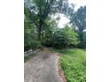 View of the heavily treed land available at this property. Concrete driveway visible at 7949 Ritter Dr, Charlotte, NC 28270