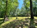 Picture of a green lawn surrounded by mature trees creating a secluded backyard oasis at 1399 Branton Dr, Iron Station, NC 28080