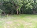 Expansive backyard with lush greenery and mature trees, offering privacy and natural beauty at 12 Watts St, York, SC 29745