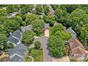 Aerial view of a home nestled amongst lush green trees in a quiet neighborhood at 19746 Valiant Way, Cornelius, NC 28031