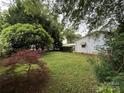 A spacious backyard with verdant lawn and mature foliage, perfect for outdoor enjoyment at 3500 Blessing St, Charlotte, NC 28208