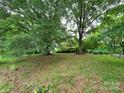 A grassy lot featuring mature trees, offering a serene and secluded setting at 823 Corbin St, Albemarle, NC 28001