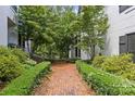 Lush landscaping and a brick path lead to the home's entrance, surrounded by mature trees and greenery at 224 Wendover Heights Cir, Charlotte, NC 28211