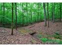 Wooded lot with creek, bridge, and mature trees. Perfect for nature lovers who enjoy privacy at 2314 Winding Oaks Trl, Waxhaw, NC 28173