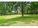 Expansive backyard with mature trees, providing plenty of space for outdoor activities at 1621 California Rd, York, SC 29745