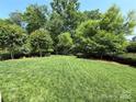 Large backyard with lush green grass, mature trees and a metal fence surrounding the property at 11324 Fullerton Place Nw Dr, Huntersville, NC 28078