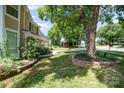 Landscaped front yard with flowering bushes and retaining wall, mature shade trees and curved sidewalk at 11802 Fox Glen Rd, Charlotte, NC 28269