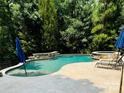 Backyard swimming pool with a stone patio, lush landscaping, and a relaxing atmosphere at 1868 Chestnut Hill Dr, Tega Cay, SC 29708