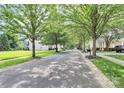 Picturesque street view with mature trees lining the road, creating a peaceful and shaded neighborhood setting at 14904 Rosemary Way Dr, Huntersville, NC 28078