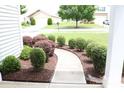 Inviting walkway lined with manicured bushes leading to the front door of this lovely home at 10726 Greenhead View Rd, Charlotte, NC 28262