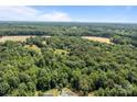 Wide aerial shot of the property, showing its vast green expanse and wooded areas at 168 Pleasant Creek Dr, Cleveland, NC 27013