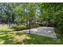 Spacious backyard with mature trees, basketball court, and trampoline at 3429 Lazy Day Ln, Charlotte, NC 28269