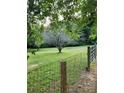 Scenic backyard with a beautiful tree and wooden fence, offering a serene outdoor space at 490 S Moose Rd, Mount Pleasant, NC 28124