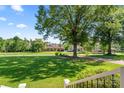 Spacious front yard with lush lawn and mature trees providing shade and curb appeal at 18733 Bluff Point Rd, Cornelius, NC 28031