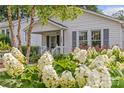 Beautiful white home with black shutters, complemented by lush hydrangea bushes in the front yard at 1600 Onslow Dr, Charlotte, NC 28205