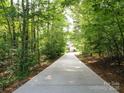 Secluded driveway leading to a private residence surrounded by lush greenery and mature trees at 8101 Cane Pointe Ln, Waxhaw, NC 28173