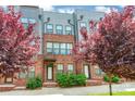 Stylish townhome exterior featuring brick and gray siding with vibrant red trees in the yard at 819 Anderson St, Charlotte, NC 28205