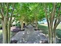 Shaded community walkway lined with crepe myrtle trees and benches for a relaxing stroll at 228 Coneflower Pl, Fort Mill, SC 29708
