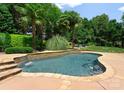 Backyard pool features stone accents, lush landscaping, creating a serene and private outdoor space at 8433 Cheverny Dr, Waxhaw, NC 28173