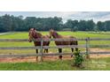 Two majestic brown horses stand by a wooden fence in a lush green pasture at 2932 Rant Drum Rd, Maiden, NC 28650