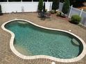 Expansive in-ground pool features a lounge area and a meticulously paved patio, creating an outdoor oasis at 1842 Caroline Way, Fort Mill, SC 29715