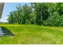 Expansive backyard featuring lush green grass, mature trees, and plenty of room to play at 14505 Rhodes Hall Dr, Charlotte, NC 28273
