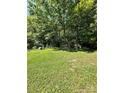 Large grassy backyard with dense tree coverage at 194 Wild Plum Ln, Blacksburg, SC 29702