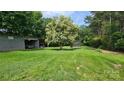 Spacious backyard with mature trees, featuring a trampoline and outbuilding for storage at 415 S Central Ave, Locust, NC 28097