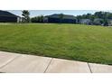 Beautifully maintained neighborhood green space with lush grass and sidewalks at 9226 Dunwich Dr, Gastonia, NC 28056