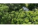 Overhead view showcasing the lush, green surroundings of the property and roof at 514 Saluda Rd, Chester, SC 29706