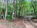 Long and winding driveway leads to a home nestled in a wooded area at 237 Antietam Rd, Statesville, NC 28625