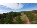 Expansive aerial shot of a quaint single-story home surrounded by lush greenery and trees at 3330 Clinzo Feemster Rd, Hickory Grove, SC 29717