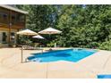 Backyard pool is surrounded by lush greenery, offering a private oasis for relaxation and recreation at 6184 Chandler Rd, Clover, SC 29710