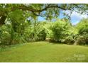 A very large backyard completely surrounded by lush green trees and foliage at 379 Sharpe St, Mooresville, NC 28115