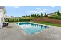 Beautiful in-ground pool surrounded by lush landscaping, including mature trees, shrubs, and green grass at 163 Sassafras Rd, Mooresville, NC 28115