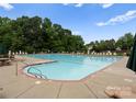 Large community swimming pool surrounded by lounge chairs, greenery and umbrellas at 133 Fontanelle Dr, Mooresville, NC 28115