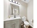 Neutral bathroom features a modern vanity, a toilet, and a mirror at 6340 Green Vista Ct, Charlotte, NC 28212