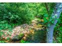 Serene natural stream flowing through a lush, green forest with moss-covered rocks at 3659 Vashti Rd, Taylorsville, NC 28681