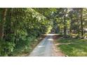 Gravel driveway approaching the house, lined with lush trees and greenery at 4323 Crow Rd, Monroe, NC 28112