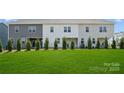 Backyard view of new townhomes features green lawn, freshly planted trees, and privacy at 1233 Margo Mannor Dr, Fort Mill, SC 29708