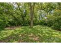 Lush green backyard with mature trees and greenery, offering a private outdoor space at 537 N Main St, Mooresville, NC 28115