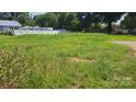 Expansive grassy backyard offering plenty of space for outdoor activities and potential landscaping opportunities at 3418 York Hwy, Gastonia, NC 28052