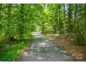 Long paved driveway winding through a lush green forest with sunlight peeking through at 6811 Kluttz Rd, Concord, NC 28025