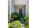Charming front entrance with beautiful landscaping and a welcoming brown door at 9608 Brackenview Ct, Charlotte, NC 28214