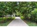 Long driveway leading to a house, surrounded by mature trees at 8214 Aspen Ct, Mint Hill, NC 28227