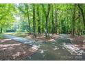 Picturesque walking trail surrounded by lush greenery, inviting for leisurely strolls at 1018 Southwest Sw Dr # 18, Davidson, NC 28036