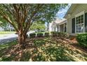 Residential street view featuring a well maintained lawn and beautiful shade tree at 168 Devon Forest Dr, Mooresville, NC 28115